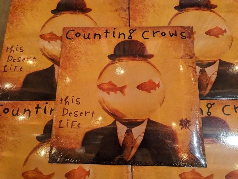 Counting Crows – This Desert Life Vinyl