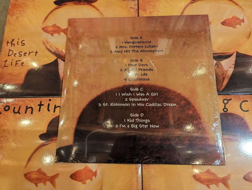Counting Crows – This Desert Life Vinyl