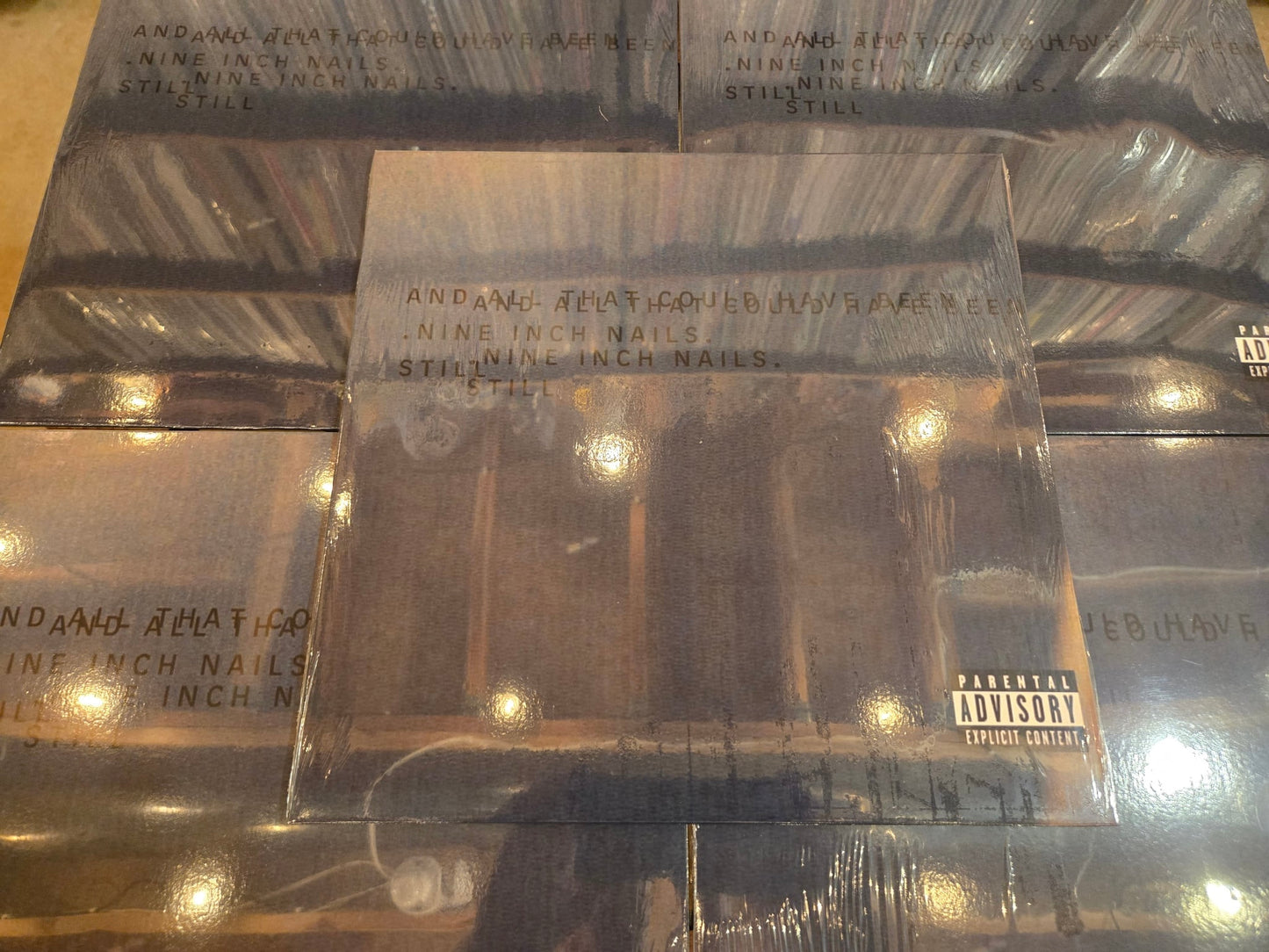 Nine Inch Nails - And All That Could Have Been, Still - Vinyl