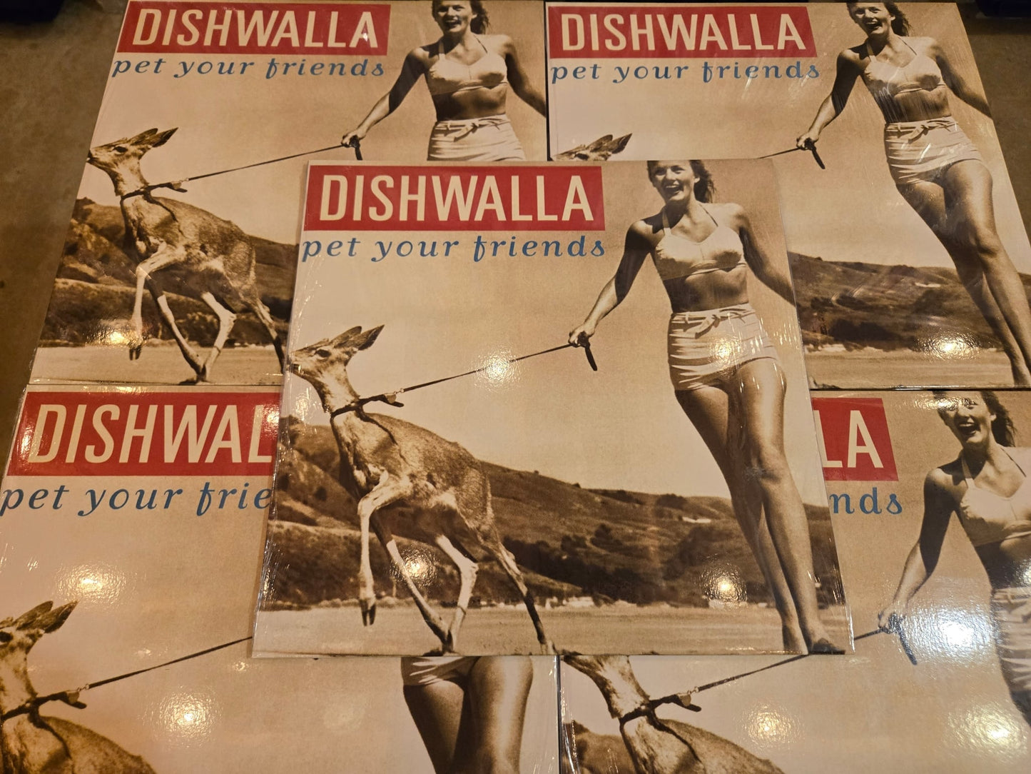 Dishwalla - Pet Your Friends Vinyl