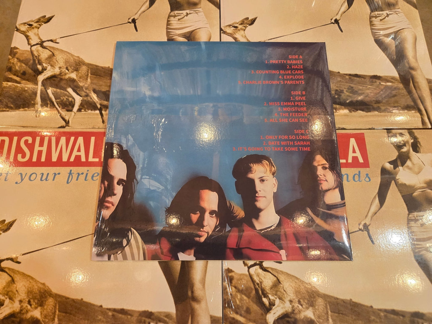Dishwalla - Pet Your Friends Vinyl