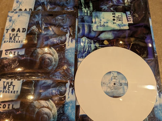 Toad The Wet Sprocket Vinyl